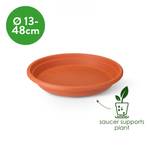 universal saucer round 19cm transparent